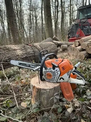 Tronçonneuse posée sur une souche en forêt