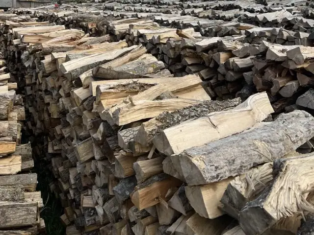 Rangées de bois de chauffage avec vue sur les montagnes