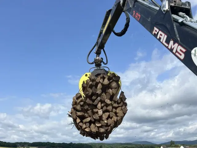 Grue forestière soulevant un paquet de bûches