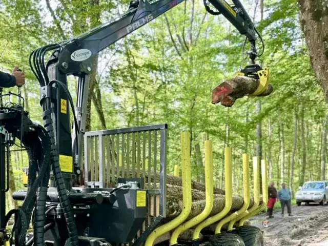 Remorque forestière chargée de grumes en forêt